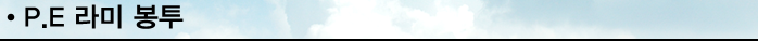 P.E 라미 봉투