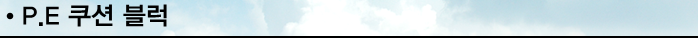P.E 쿠션 블럭